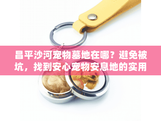 昌平沙河宠物墓地在哪？避免被坑，找到安心宠物安息地的实用指南