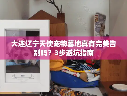大连辽宁天使宠物墓地真有完美告别吗？3步避坑指南