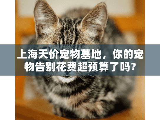 上海天价宠物墓地，你的宠物告别花费超预算了吗？