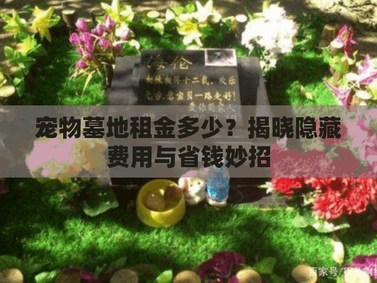 宠物墓地租金多少？揭晓隐藏费用与省钱妙招