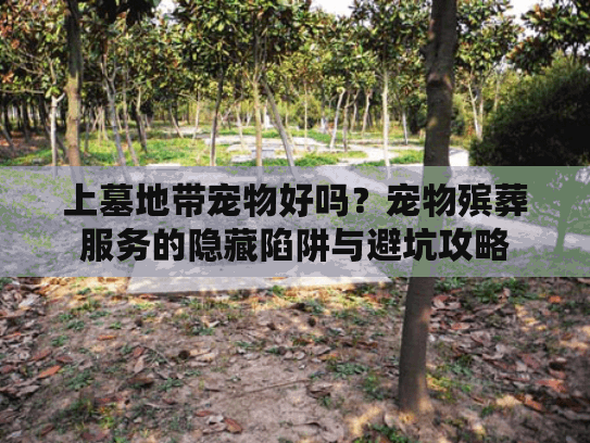 上墓地带宠物好吗？宠物殡葬服务的隐藏陷阱与避坑攻略