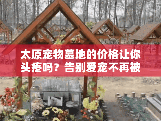 太原宠物墓地的价格让你头疼吗？告别爱宠不再被高价困扰