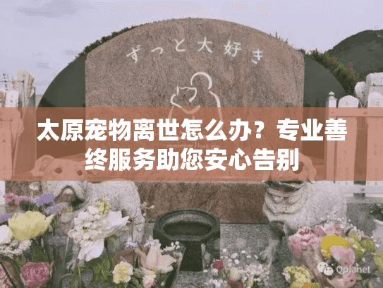 太原宠物离世怎么办？专业善终服务助您安心告别