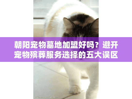 朝阳宠物墓地加盟好吗？避开宠物殡葬服务选择的五大误区