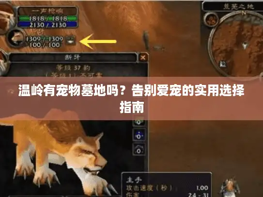 温岭有宠物墓地吗？告别爱宠的实用选择指南