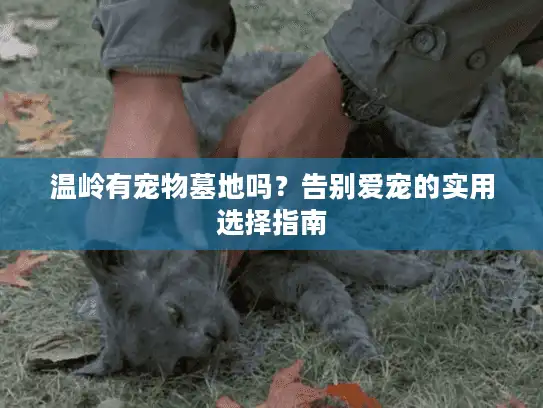 温岭有宠物墓地吗？告别爱宠的实用选择指南