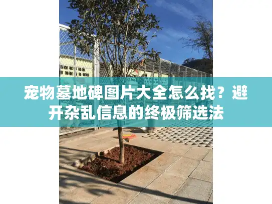 宠物墓地碑图片大全怎么找？避开杂乱信息的终极筛选法