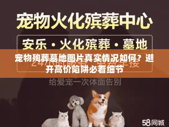 宠物殉葬墓地图片真实情况如何？避开高价陷阱必看细节