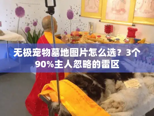 无极宠物墓地图片怎么选?3个90%主人忽略的雷区 无极宠物墓地图片怎么选?3个90%主人忽略的雷区