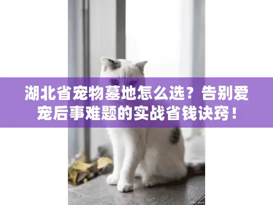 湖北省宠物墓地怎么选？告别爱宠后事难题的实战省钱诀窍！