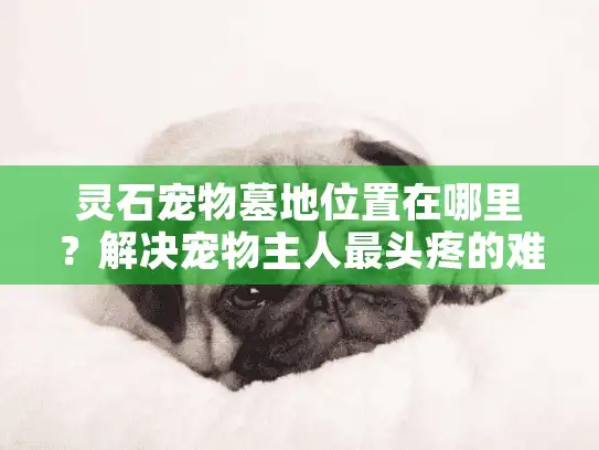 灵石宠物墓地位置在哪里？解决宠物主人最头疼的难题