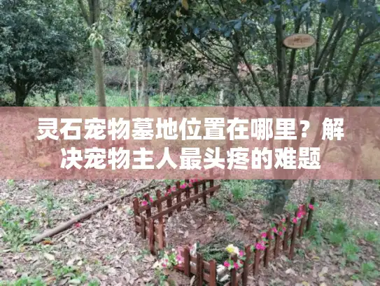 灵石宠物墓地位置在哪里？解决宠物主人最头疼的难题