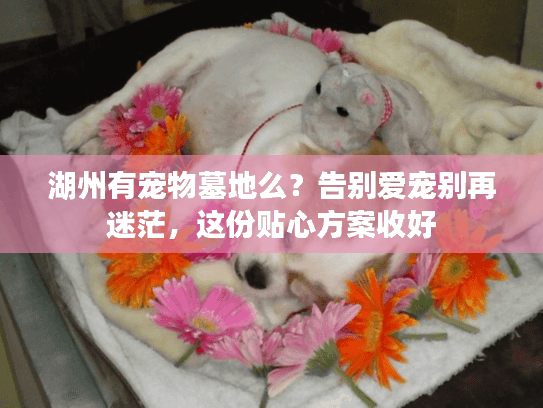 湖州有宠物墓地么?告别爱宠别再迷茫,这份贴心方案收好 湖州有宠物墓地么?告别爱宠别再迷茫,这份贴心方案收好