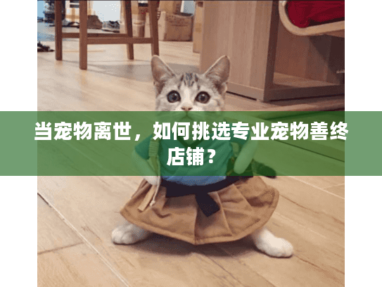 当宠物离世，如何挑选专业宠物善终店铺？