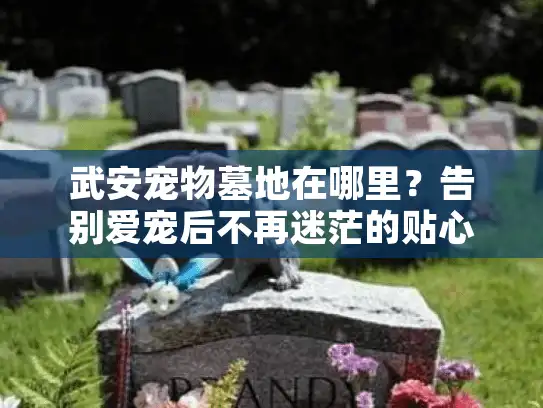 武安宠物墓地在哪里?告别爱宠后不再迷茫的贴心导航 武安宠物墓地在哪里?告别爱宠后不再迷茫的贴心导航