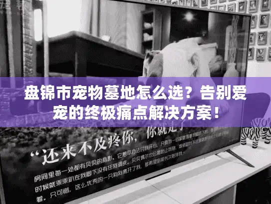 盘锦市宠物墓地怎么选？告别爱宠的终极痛点解决方案！
