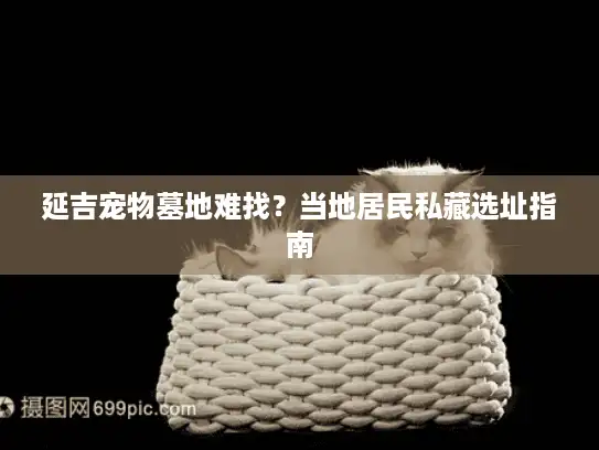 延吉宠物墓地难找？当地居民私藏选址指南