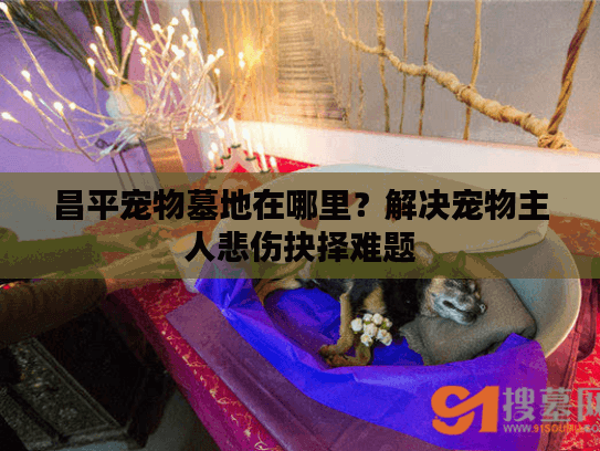 昌平宠物墓地在哪里?解决宠物主人悲伤抉择难题 昌平宠物墓地在哪里?解决宠物主人悲伤抉择难题