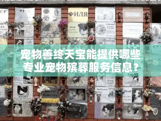 宠物善终天宝能提供哪些专业宠物殡葬服务信息? 宠物善终天宝能提供哪些专业宠物殡葬服务信息?