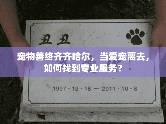 宠物善终齐齐哈尔,当爱宠离去,如何找到专业服务? 宠物善终齐齐哈尔,当爱宠离去,如何找到专业服务?