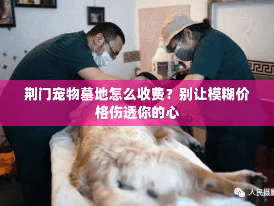 荆门宠物墓地怎么收费？别让模糊价格伤透你的心