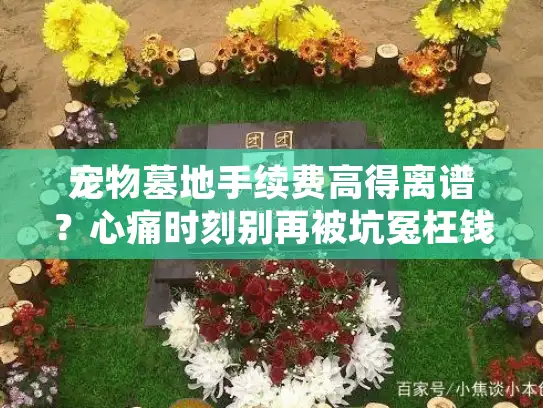 宠物墓地手续费高得离谱?心痛时刻别再被坑冤枉钱! 宠物墓地手续费高得离谱?心痛时刻别再被坑冤枉钱!