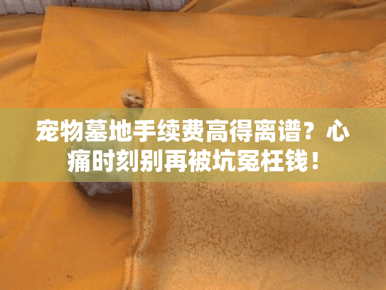 宠物墓地手续费高得离谱?心痛时刻别再被坑冤枉钱! 宠物墓地手续费高得离谱?心痛时刻别再被坑冤枉钱!
