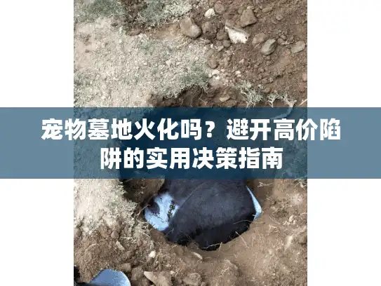 宠物墓地火化吗？避开高价陷阱的实用决策指南
