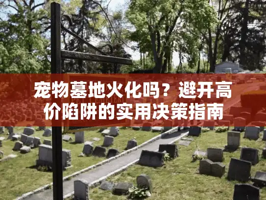 宠物墓地火化吗？避开高价陷阱的实用决策指南