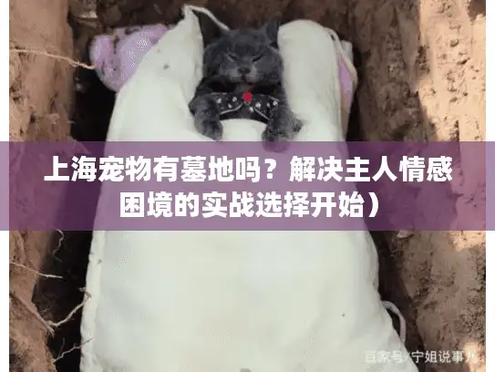 上海宠物有墓地吗?解决主人情感困境的实战选择开始) 上海宠物有墓地吗?解决主人情感困境的实战选择开始)