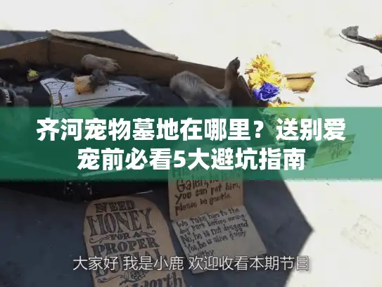 齐河宠物墓地在哪里？送别爱宠前必看5大避坑指南