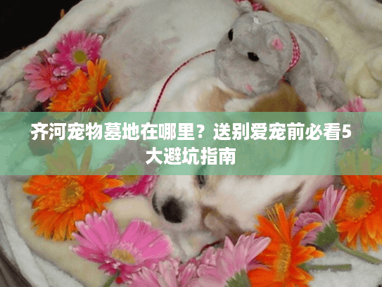 齐河宠物墓地在哪里？送别爱宠前必看5大避坑指南