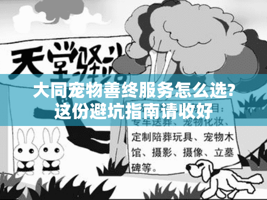 大同宠物善终服务怎么选?这份避坑指南请收好