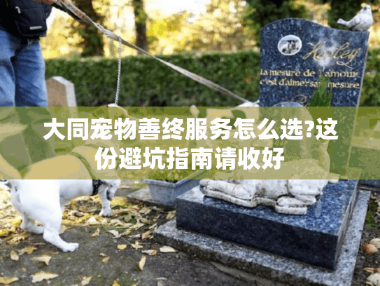 大同宠物善终服务怎么选?这份避坑指南请收好