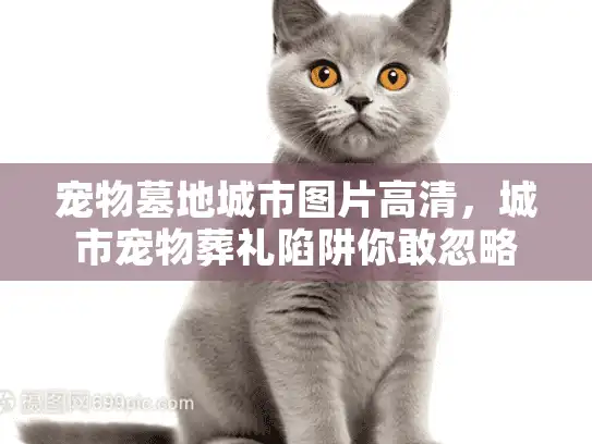 宠物墓地城市图片高清,城市宠物葬礼陷阱你敢忽略吗? 宠物墓地城市图片高清,城市宠物葬礼陷阱你敢忽略吗?