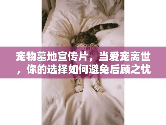 宠物墓地宣传片，当爱宠离世，你的选择如何避免后顾之忧？