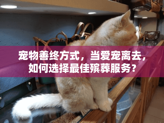 宠物善终方式,当爱宠离去,如何选择最佳殡葬服务? 宠物善终方式,当爱宠离去,如何选择最佳殡葬服务?