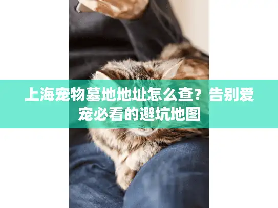 上海宠物墓地地址怎么查?告别爱宠必看的避坑地图 上海宠物墓地地址怎么查?告别爱宠必看的避坑地图
