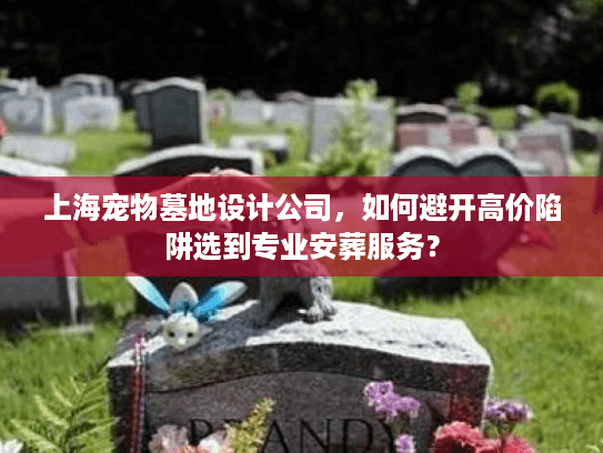 上海宠物墓地设计公司，如何避开高价陷阱选到专业安葬服务？