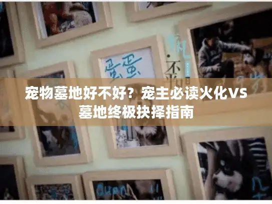 宠物墓地好不好？宠主必读火化VS墓地终极抉择指南