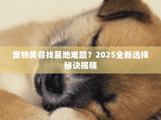 宠物美容找墓地难题？2025全新选择秘诀揭晓