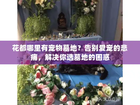 花都哪里有宠物墓地?告别爱宠的悲痛,解决你选墓地的困惑 花都哪里有宠物墓地?告别爱宠的悲痛,解决你选墓地的困惑