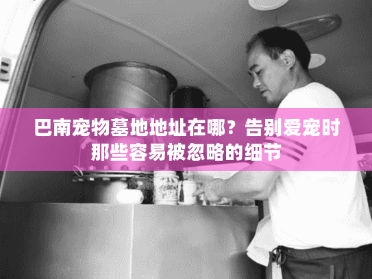 巴南宠物墓地地址在哪？告别爱宠时那些容易被忽略的细节