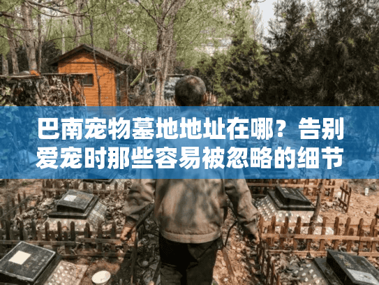 巴南宠物墓地地址在哪？告别爱宠时那些容易被忽略的细节