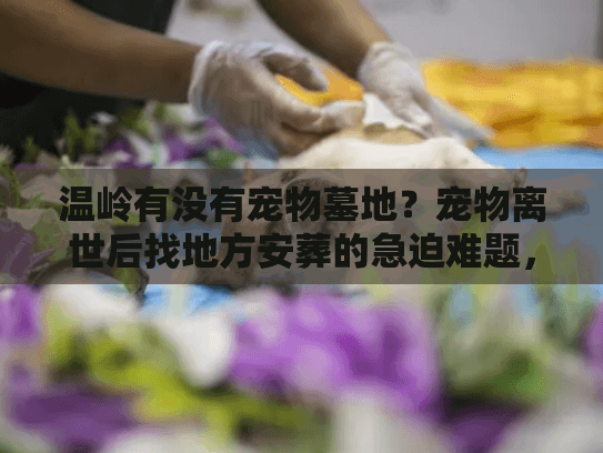 温岭有没有宠物墓地？宠物离世后找地方安葬的急迫难题，你还在为找不到合适归宿而失眠吗