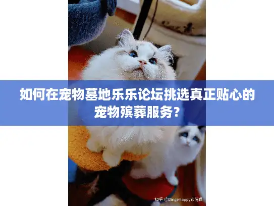 如何在宠物墓地乐乐论坛挑选真正贴心的宠物殡葬服务? 如何在宠物墓地乐乐论坛挑选真正贴心的宠物殡葬服务?