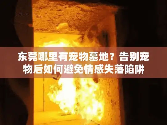 东莞哪里有宠物墓地？告别宠物后如何避免情感失落陷阱