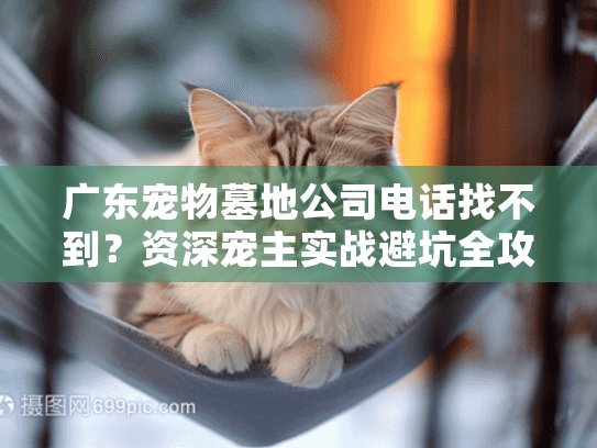 广东宠物墓地公司电话找不到?资深宠主实战避坑全攻略 广东宠物墓地公司电话找不到?资深宠主实战避坑全攻略