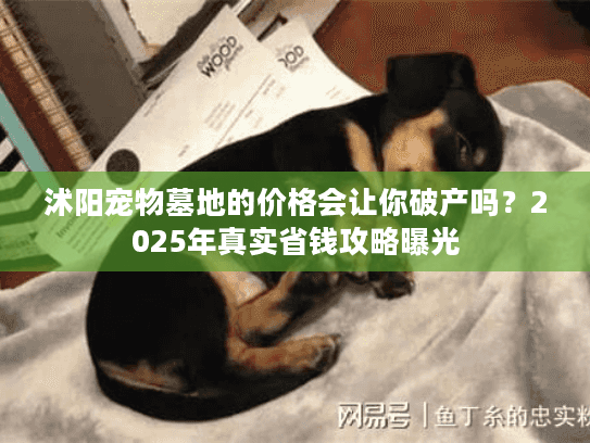 沭阳宠物墓地的价格会让你破产吗?2025年真实省钱攻略曝光 沭阳宠物墓地的价格会让你破产吗?2025年真实省钱攻略曝光