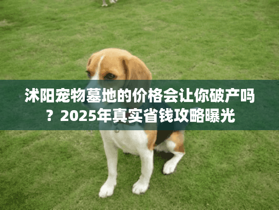 沭阳宠物墓地的价格会让你破产吗?2025年真实省钱攻略曝光 沭阳宠物墓地的价格会让你破产吗?2025年真实省钱攻略曝光